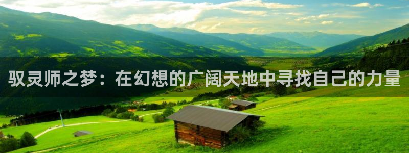 漫蛙manwa2(台版)：驭灵师之梦：在幻想的广阔天地中寻找自己的力量