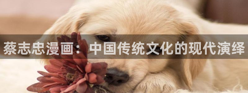 漫蛙w：蔡志忠漫画：中国传统文化的现代演绎