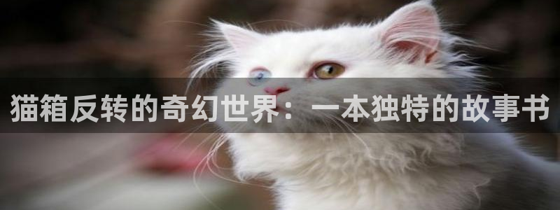 漫蛙ap：猫箱反转的奇幻世界：一本独特的故事书