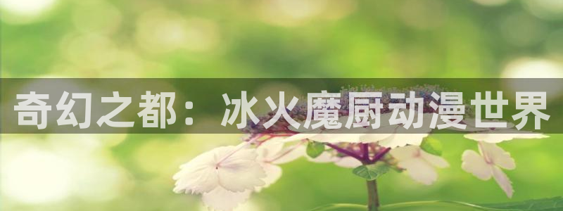 漫蛙漫画app官网：奇幻之都：冰火魔厨动漫世界