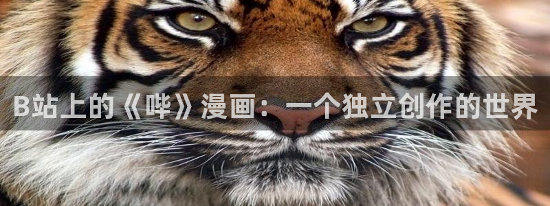 漫蛙漫画2官网入口：B站上的《哔》漫画：一个独立创作的世界