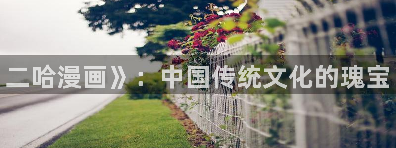 漫蛙ios链接：二哈漫画》：中国传统文化的瑰宝